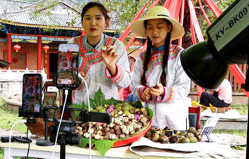 海曦垚直播銷售核桃。漾濞縣融媒體中心供圖