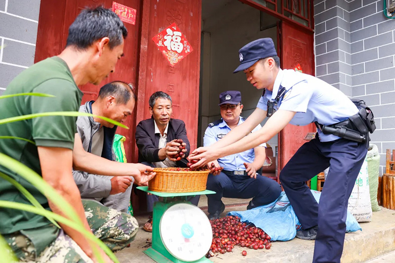 民警协助农户称草果重量。