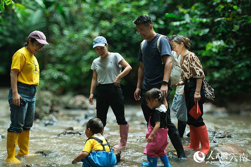 家长与孩子在基诺山向导带领下，在雨林中参与体验活动。人民网 曾智慧摄