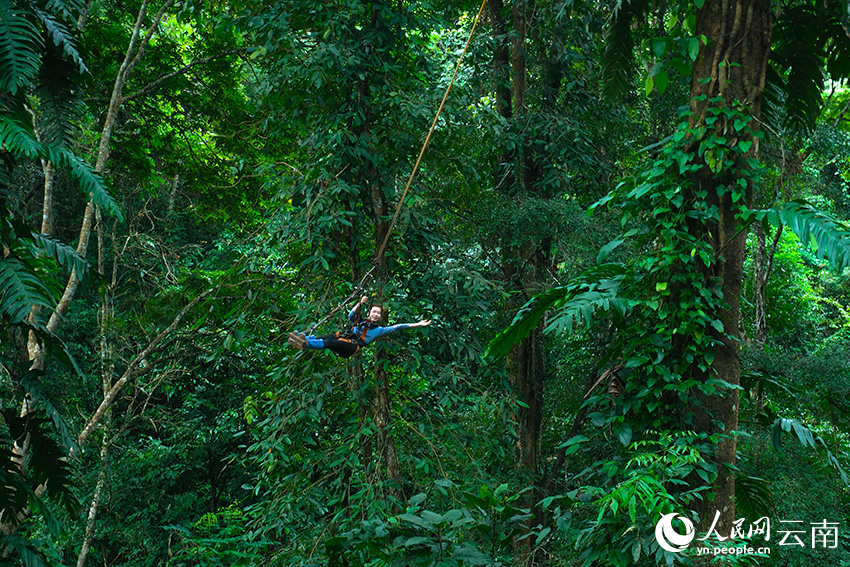 游客在西双版纳基诺山热带雨林体验高空秋千项目。人民网 曾智慧摄