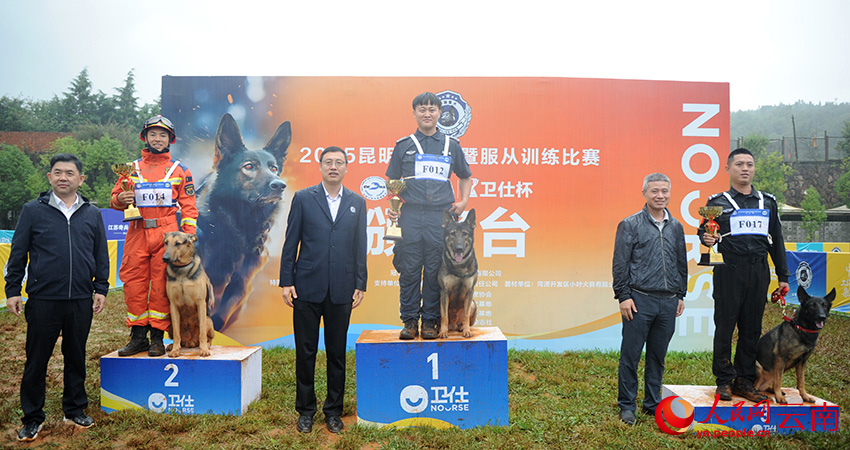 在2025昆明犬展评暨服从训练比赛中获奖的参赛犬“上台领奖”。杜晓鹏摄