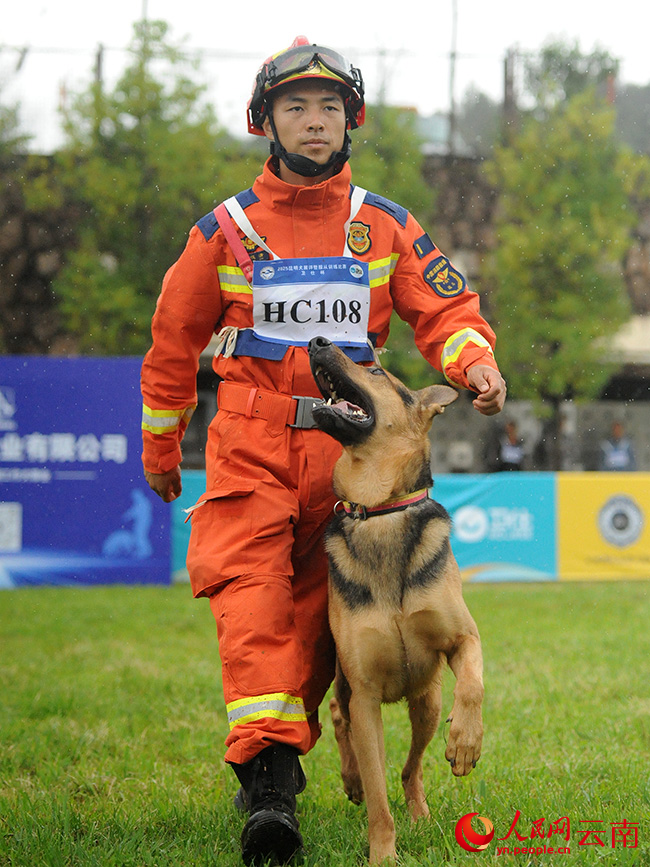 2025昆明犬展評暨服從訓練比賽現場。杜曉鵬攝
