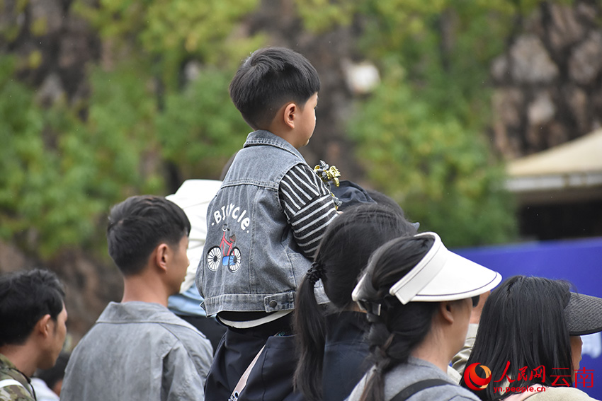 市民观看2025昆明犬展评暨服从训练比赛。张松摄