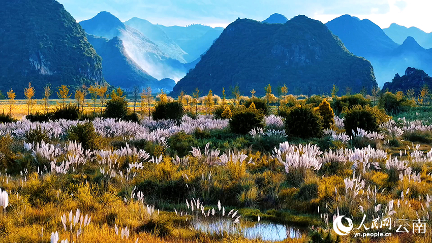 文山丘北普者黑景区风景如画。李皓岚摄