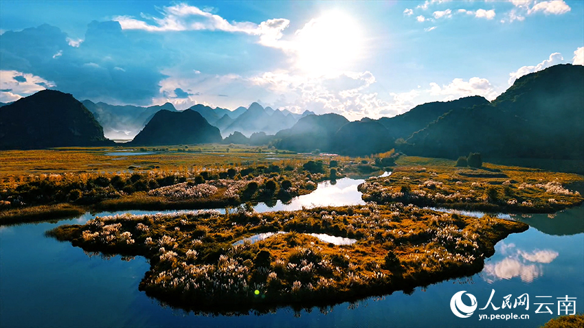 文山丘北普者黑景区风景如画。李皓岚摄
