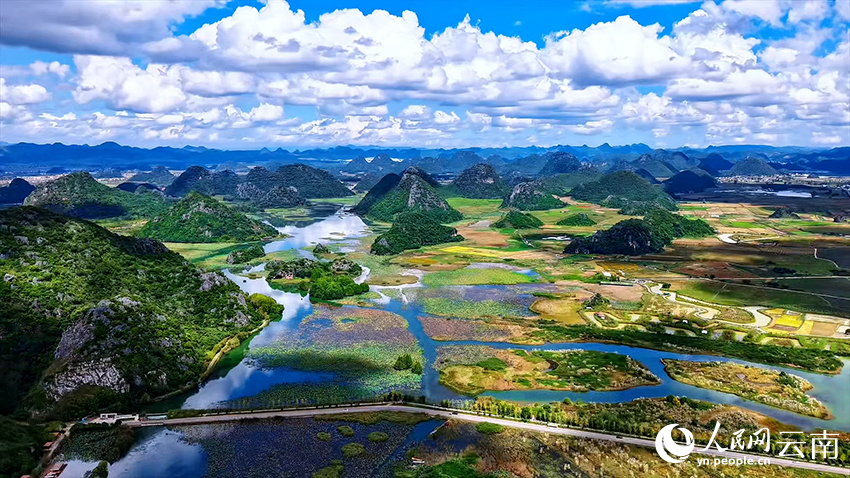 文山丘北普者黑景区风景如画。张伟鹏摄