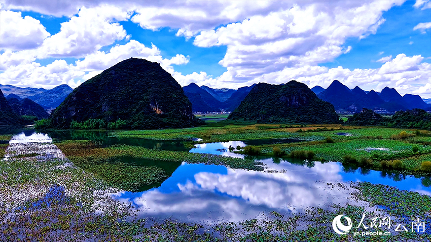 文山丘北普者黑景区风景如画。张伟鹏摄