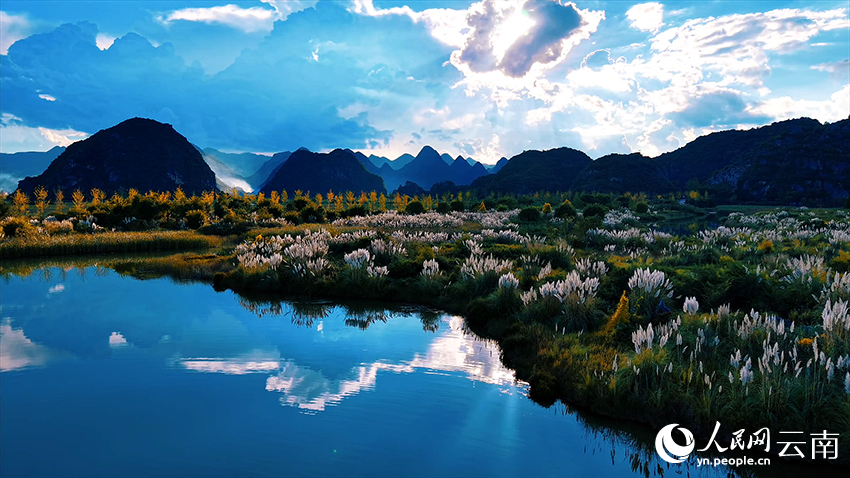 文山丘北普者黑景区风景如画。张伟鹏摄