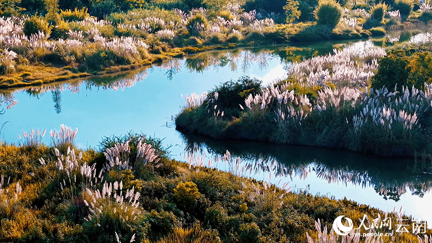 文山丘北普者黑景区风景如画。张伟鹏摄