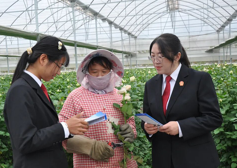 法官到花卉企业开展普法活动。