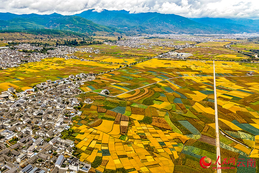 剑湖之畔的田园秋色。施寿昌摄