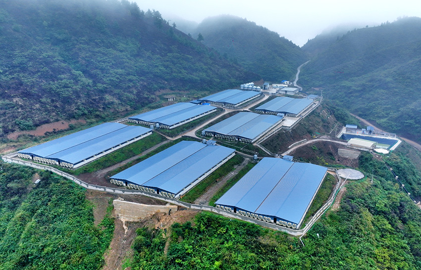 永善县水竹乡养殖场全景。