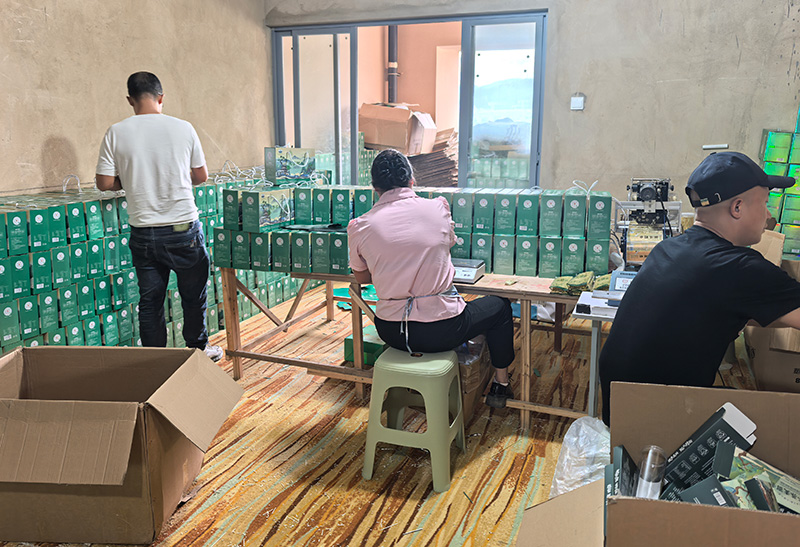 镇雄县魔芋面条加工厂。