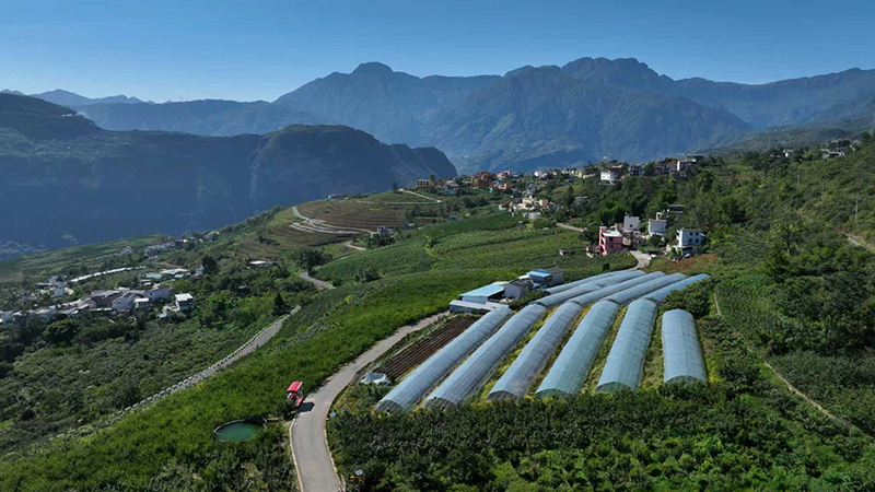永善县明子村。