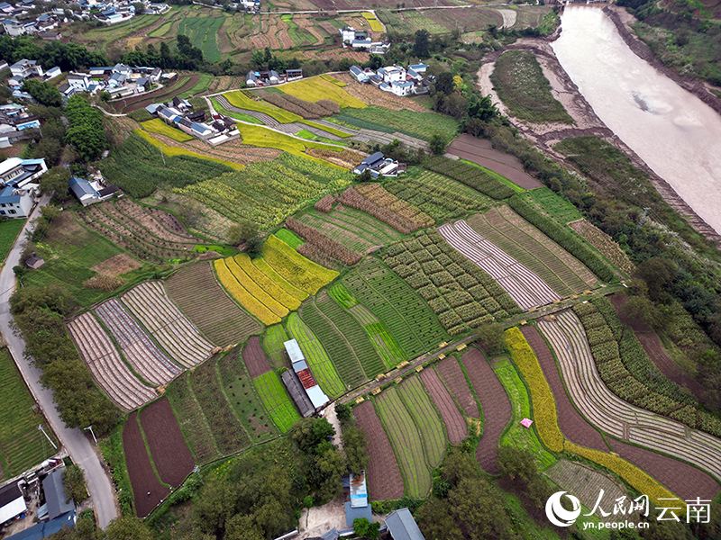 航拍桑不老村。人民網記者 程浩攝