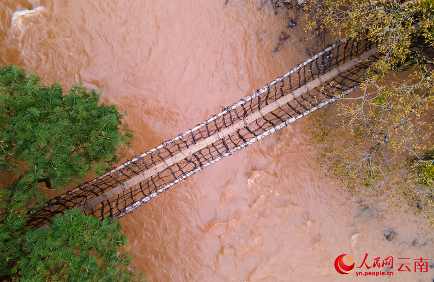 云龙县的藤桥。人民网记者 符皓摄