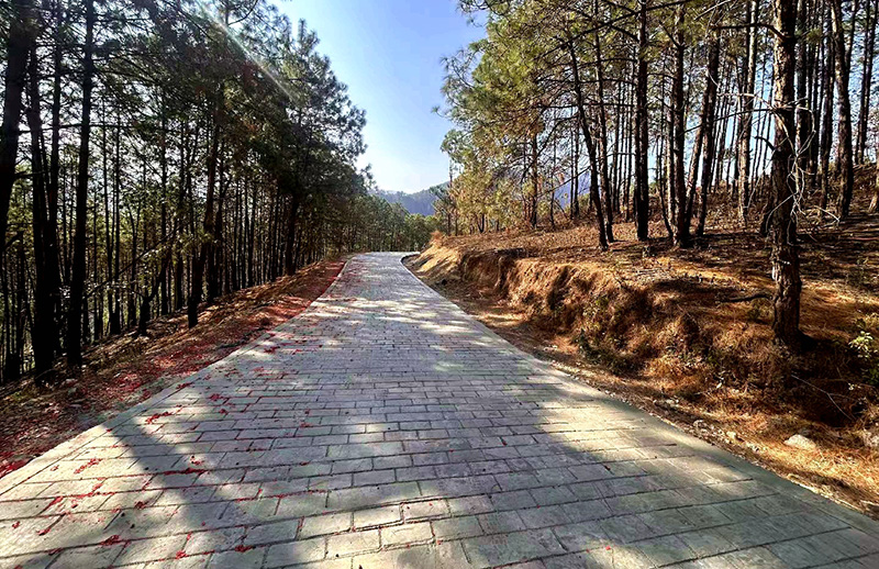 富恆鄉富恆村王世恆村民小組農村公路。