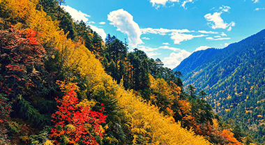 觀雲台|雲南的秋聲
