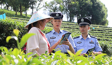 守护“一片叶”