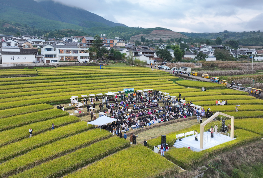 3“稻浪弦歌﹒棲居華龍”活動現場。劍川縣委宣傳部供圖