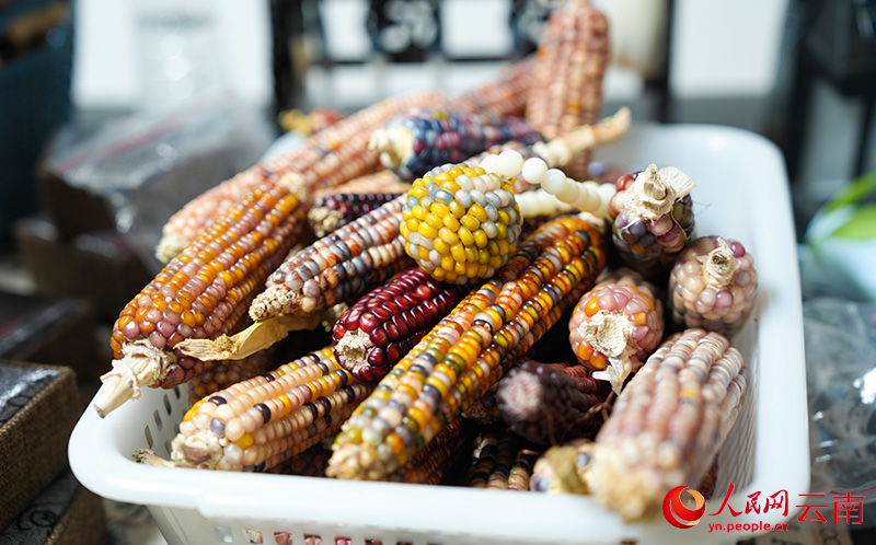 李亚辉的直播间的桌子上堆满了即将售卖的文玩玉米。人民网 吕仁能摄