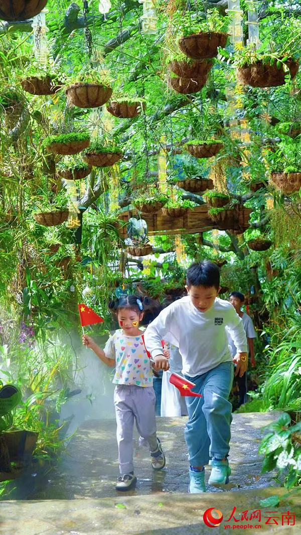 游客在六郎城·仙草秘境景区游玩。刘晓泉摄