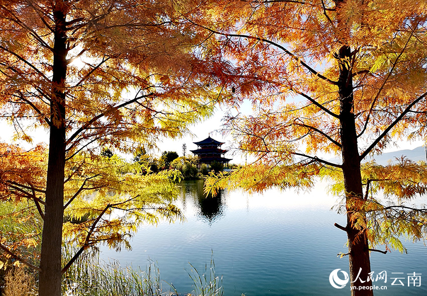 丽江中济海公园风景如画。和俭摄