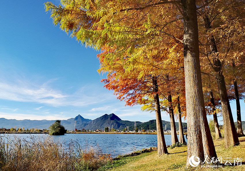 丽江中济海公园风景如画。和俭摄