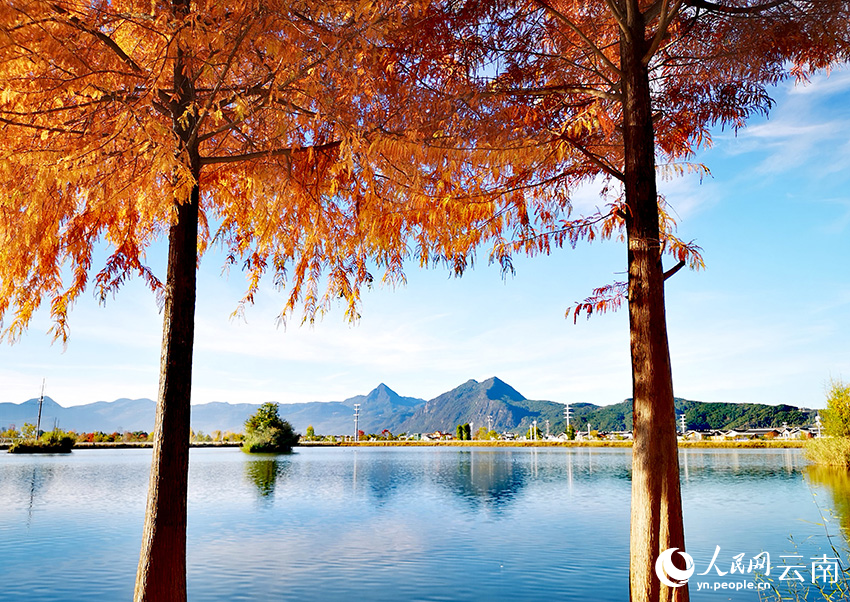 丽江中济海公园风景如画。和俭摄