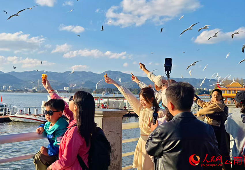 人鸥同乐。人民网 尹馨摄