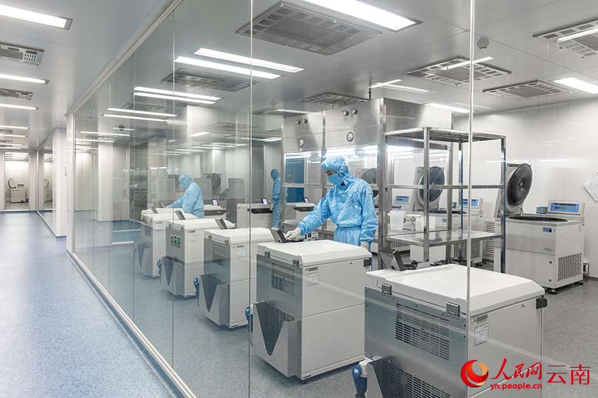 玉溪市高新区玉溪沃森生物技术有限公司质量控制实验室--曾永洪--摄-