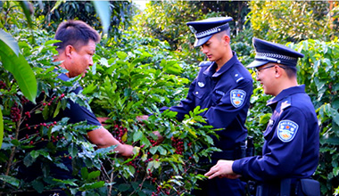 云南保山：“咖啡警务”护航产业发展