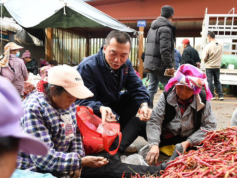 采购员指导群众拣辣椒。