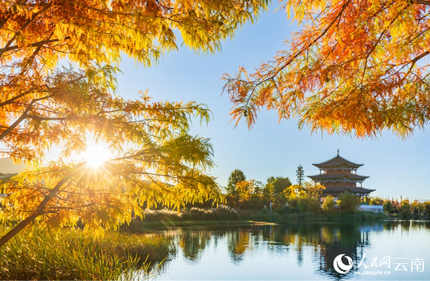 丽江中济海公园风景如画。马登科摄