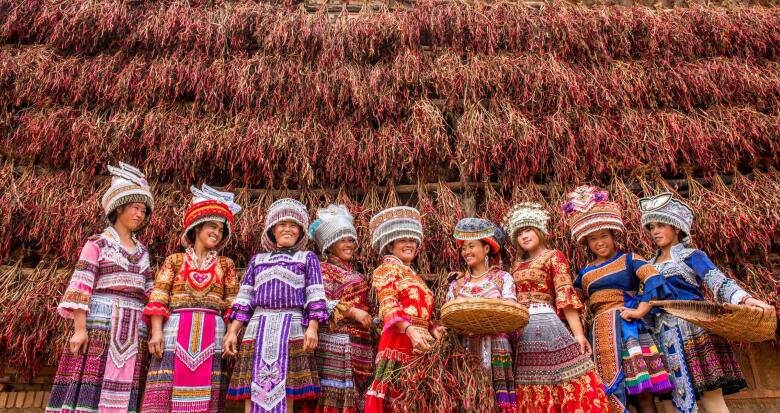 辣椒豐收場景。