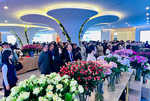 昆明石林特色農業邁入發展新階段