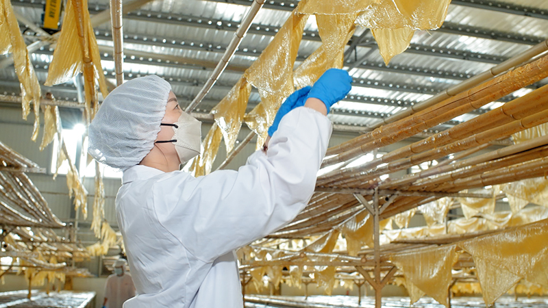 豆制品生产-胡语珊摄-2025年11月24日