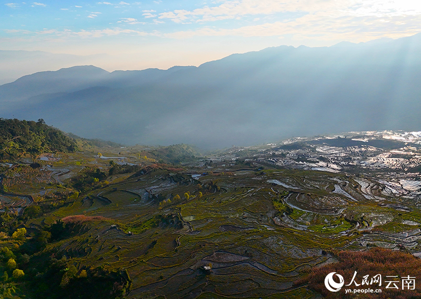 晨光下的红河哈尼梯田。赵龙云摄