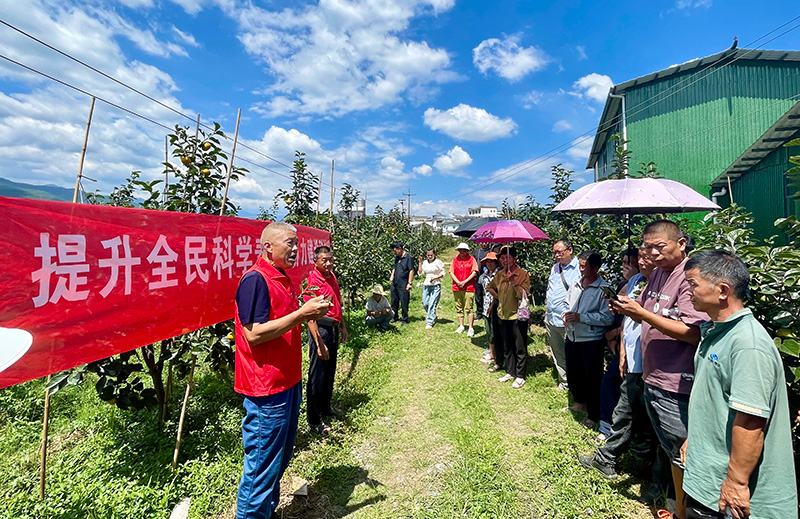 开展种植技术培训。