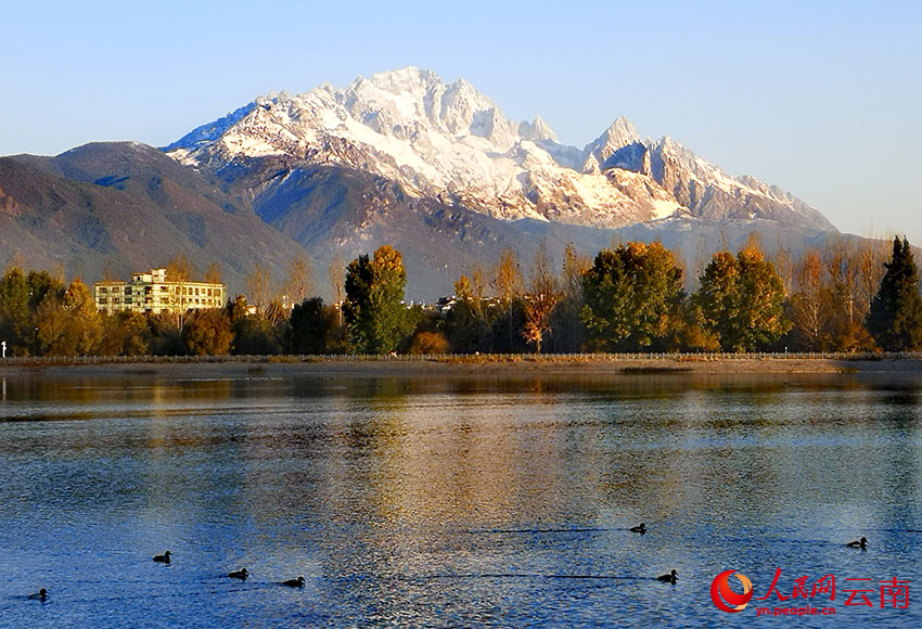 雪山、樹影倒映在清溪水庫的湖面上。和儉攝