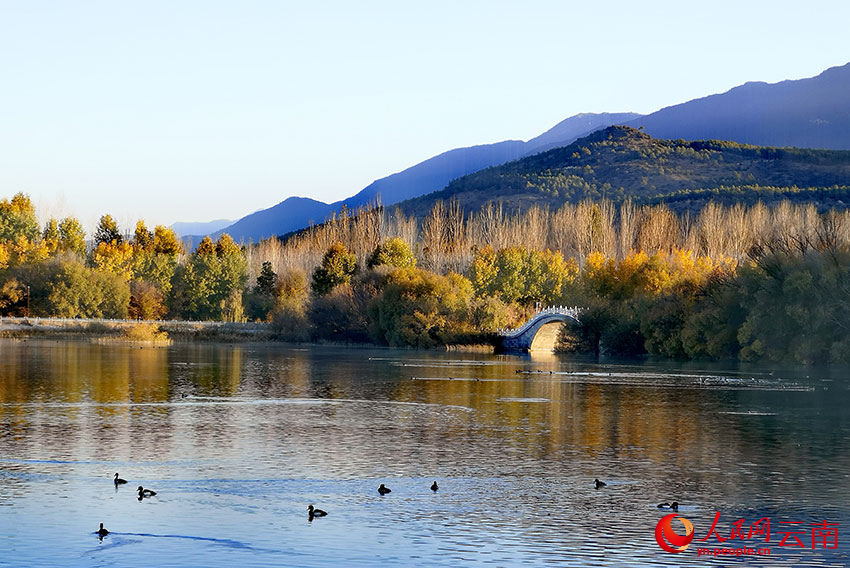 清溪公園裡，藍天、碧水、水鳥，呈現出一片寧靜祥和的景象。和儉攝