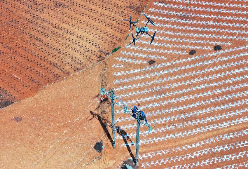 1.昆明供电局在省内首次运用“无人机+带电作业”将器材“空运”到达杆顶，完成线路防雷升级。卢显仑摄