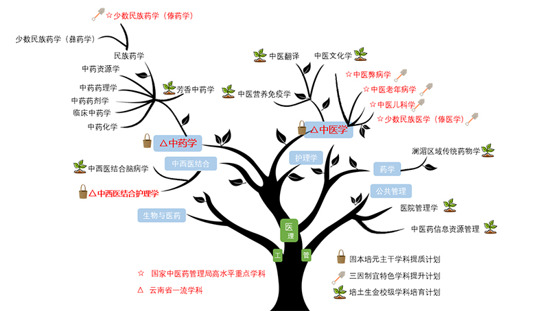 学校学科建设结构示意图。云南中医药大学供图