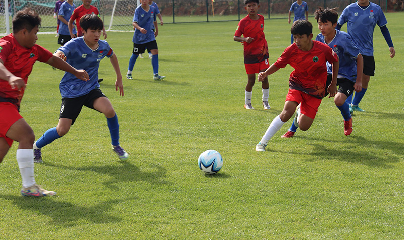 比赛现场。金立恒摄