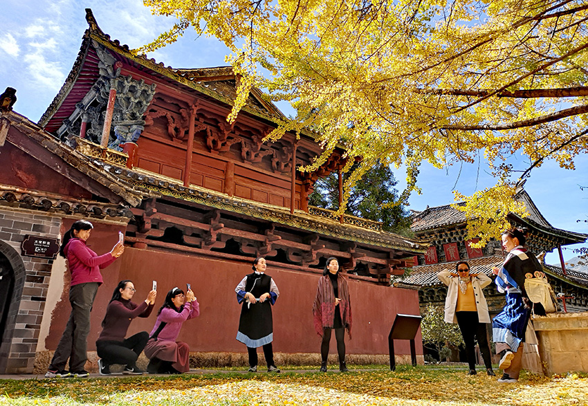 古银杏吸引了许多市民与游客驻足观赏、打卡拍照。