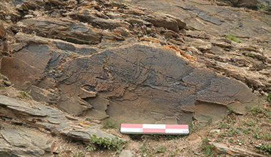 “秦刻石”正成为全民关注的文化热点