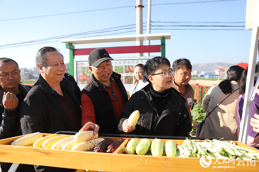 参会人员向参展企业了解蔬菜品种。人民网记者李发兴摄