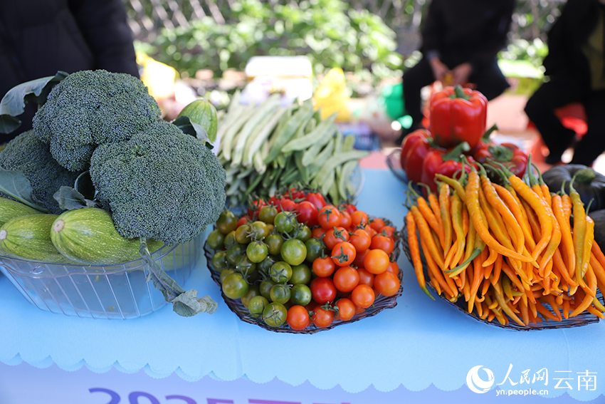 果蔬品鉴区展示的展品。人民网记者李发兴摄