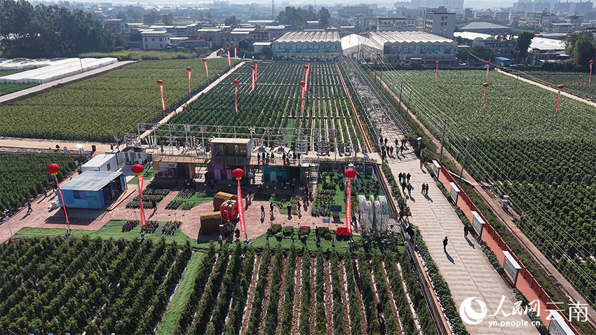 元谋现代种业科技园地展区。仲显平摄