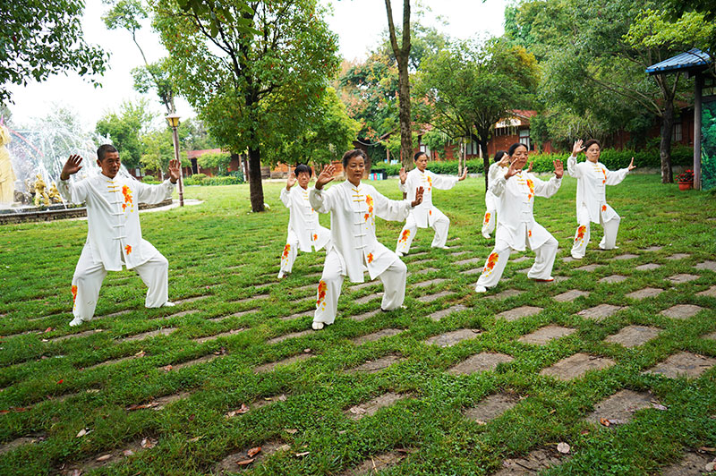 旅居游客在打太极。